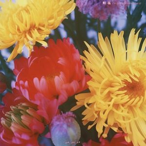 曰本女人视频69xxx
