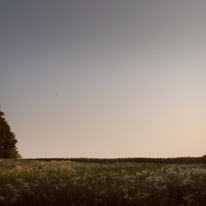 曰本女人视频69xxx
