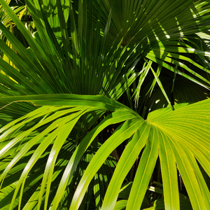 曰本女人视频69xxx
